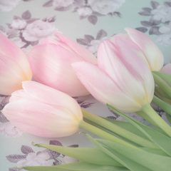 https://www.compassionatefriends.org/wp-content/uploads/2017/05/Tulips-Reduced-240x240.jpg