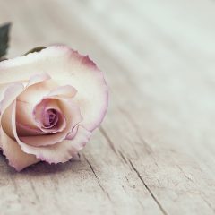 https://www.compassionatefriends.org/wp-content/uploads/2017/05/Vintage-Rose-Reduced-240x240.jpg