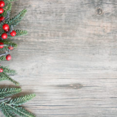 https://www.compassionatefriends.org/wp-content/uploads/2018/12/Holiday-Evergreen-Branches-and-Berries-240x240.jpeg