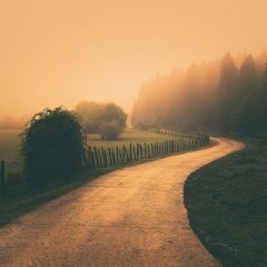 https://www.compassionatefriends.org/wp-content/uploads/2020/01/Vintage-Nature-Landscape-with-a-foggy-path-240x240.jpeg