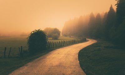 https://www.compassionatefriends.org/wp-content/uploads/2020/01/Vintage-Nature-Landscape-with-a-foggy-path-400x240.jpeg
