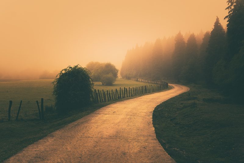 https://www.compassionatefriends.org/wp-content/uploads/2020/01/Vintage-Nature-Landscape-with-a-foggy-path-800x533.jpeg