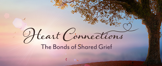https://www.compassionatefriends.org/wp-content/uploads/2021/09/Heart-Connections-The-Bonds-of-Shared-Grief.jpg