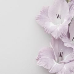https://www.compassionatefriends.org/wp-content/uploads/2021/11/Lilies-Cropped-and-Reduced-240x240.jpg