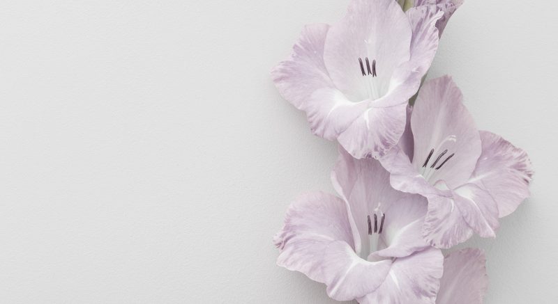 https://www.compassionatefriends.org/wp-content/uploads/2021/11/Lilies-Cropped-and-Reduced-800x437.jpg