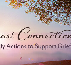 https://www.compassionatefriends.org/wp-content/uploads/2023/08/Heart-Connections-Daily-Actions-to-Support-Grief-240x220.jpg